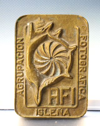 Placa, medalla de bronce de AFI