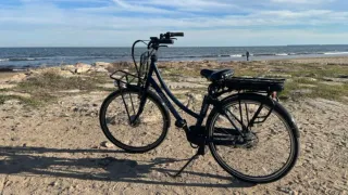 Bicicleta Eléctrica Holandesa AMIGO