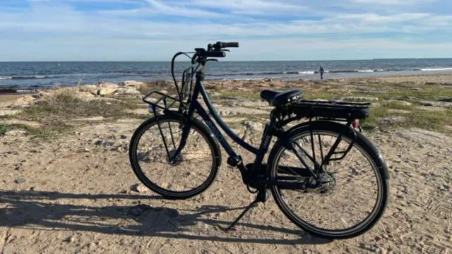 Bicicleta Eléctrica Holandesa AMIGO