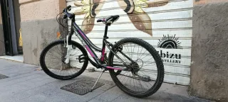 Bicicleta infantil rodado 20, 24, 26