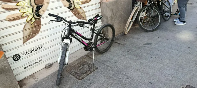 Bicicleta infantil rodado 20, 24, 26