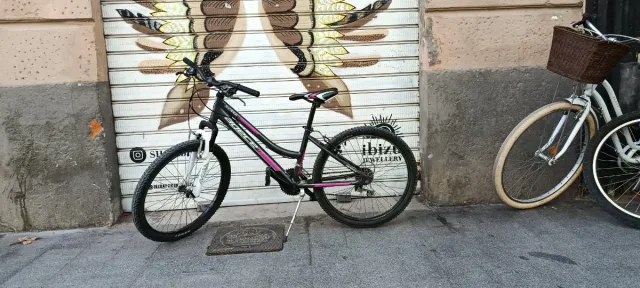 Bicicleta infantil rodado 20, 24, 26