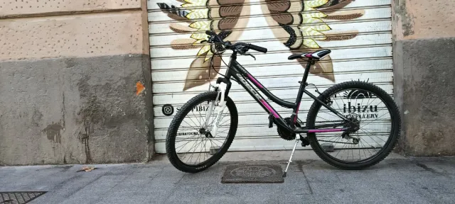 Bicicleta infantil rodado 20, 24, 26