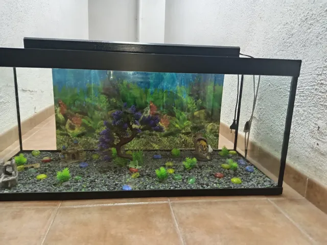 Acuario completo con decoración de 100 litros