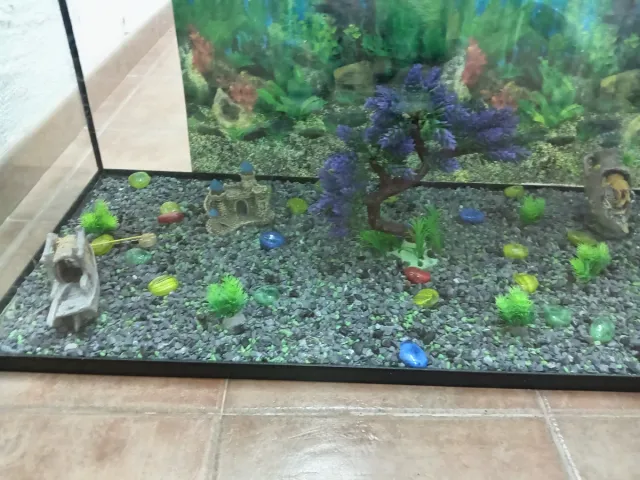 Acuario completo con decoración de 100 litros
