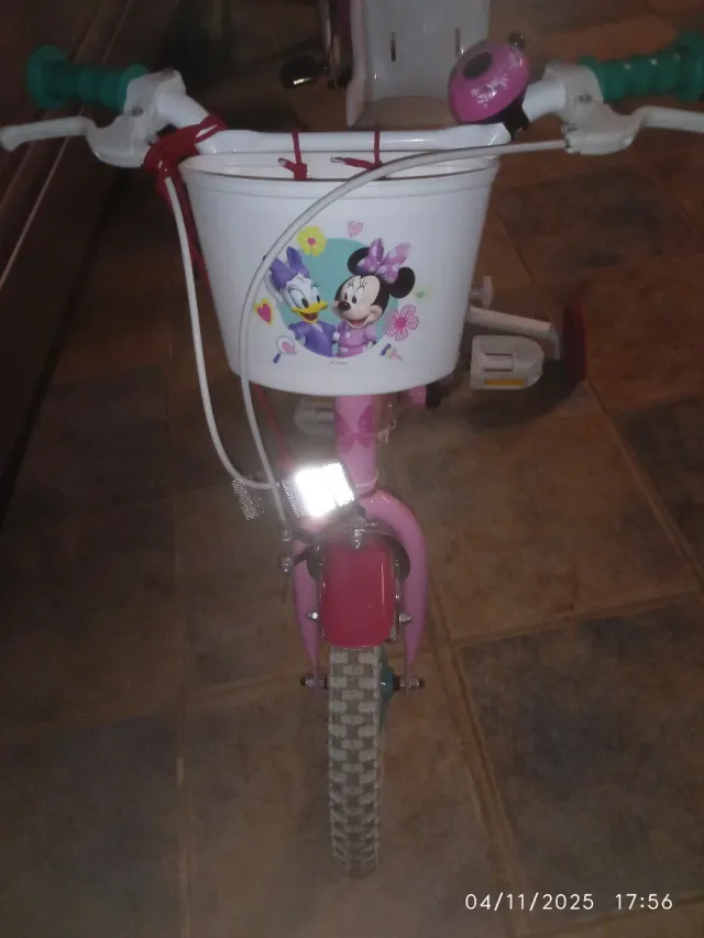 Bicicleta Infantil Minnie Niña