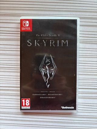 The Elder Scrolls V Skyrim Nintendo Switch