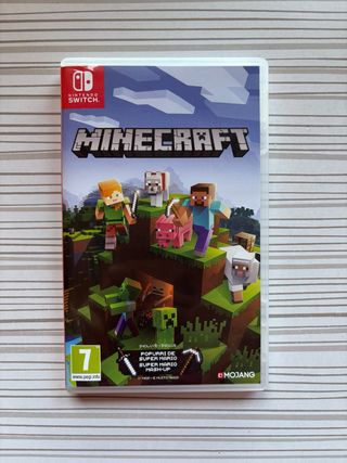 Minecraft Nintendo Switch