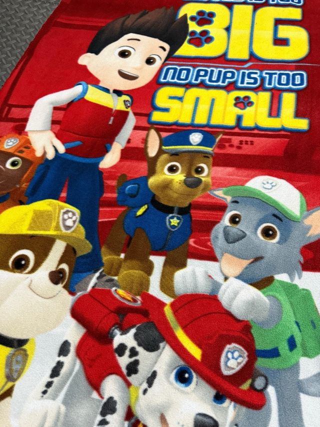 Manta y peluches Patrulla Canina y cogin .