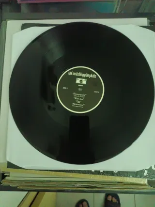 LP The Smashing Pumpkins Moon Demo