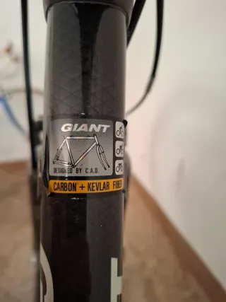 Bicicleta Giant Cadex 3