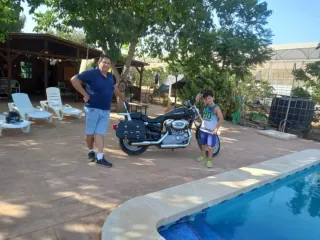 Moto Custom Harley Davison 883