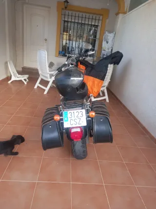 Moto Custom Harley Davison 883..