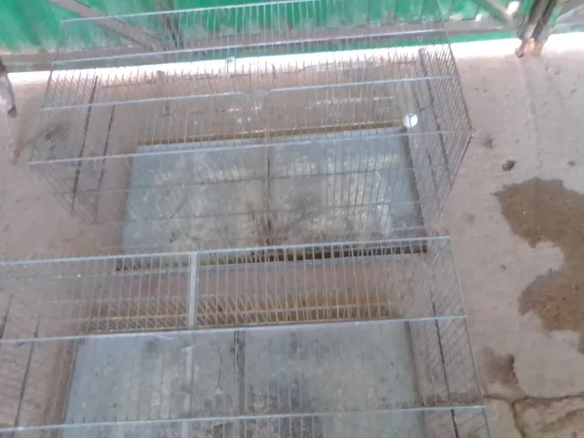 4 Jaulas Grandes y Medianas