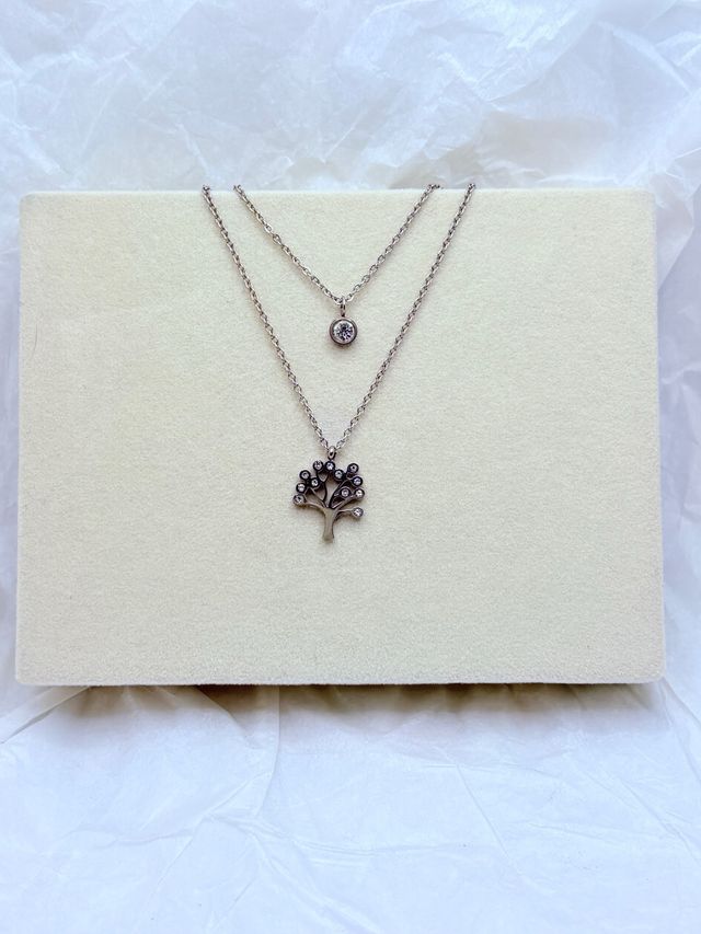 Collar Acero Inoxidable Doble Cadena