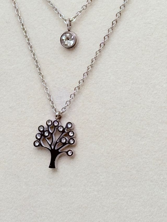 Collar Acero Inoxidable Doble Cadena