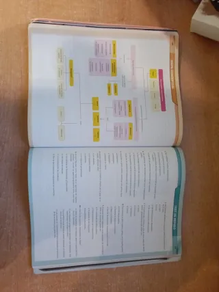 Economía 1.º Bachillerato