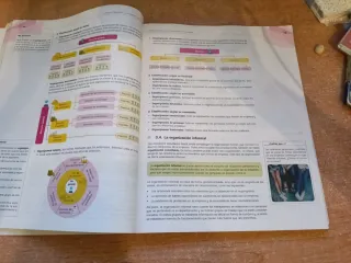 Economía de la empresa 2.º Bachillerato