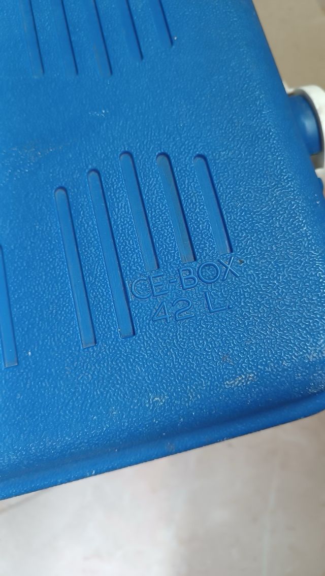 Nevera portátil playa 42L azul y blanca