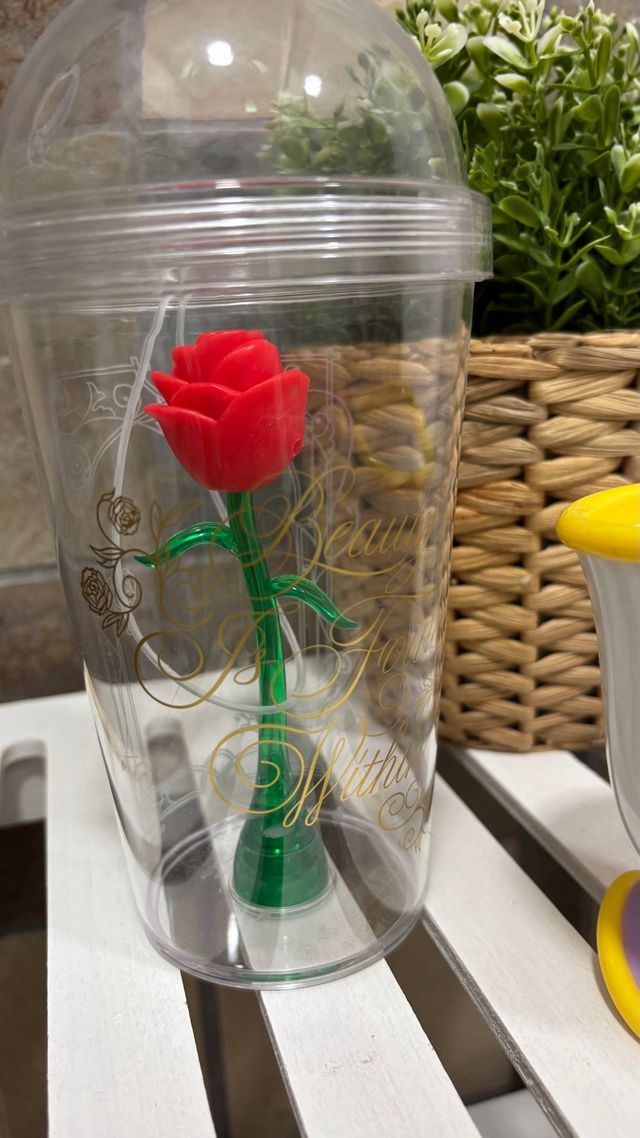 Vasos Bella y Bestia