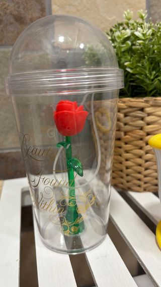 Vasos Bella y Bestia