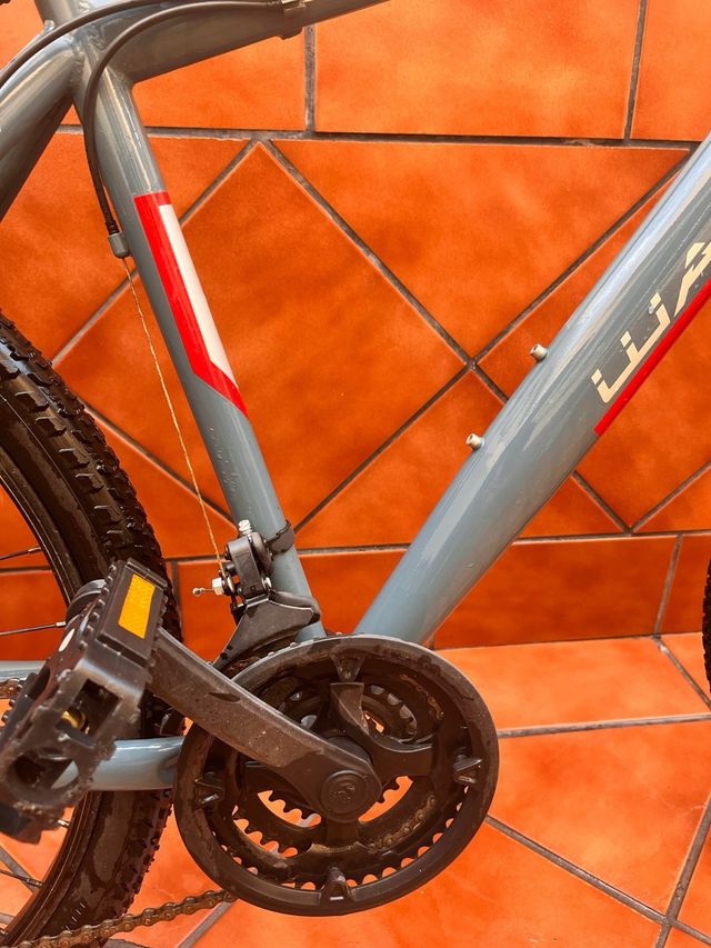 Bicicleta de montaña gris