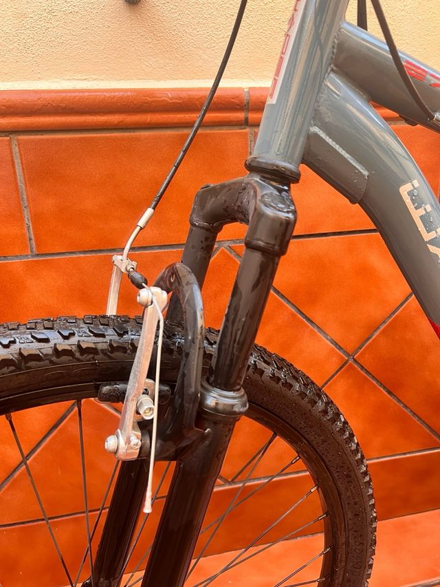 Bicicleta de montaña gris