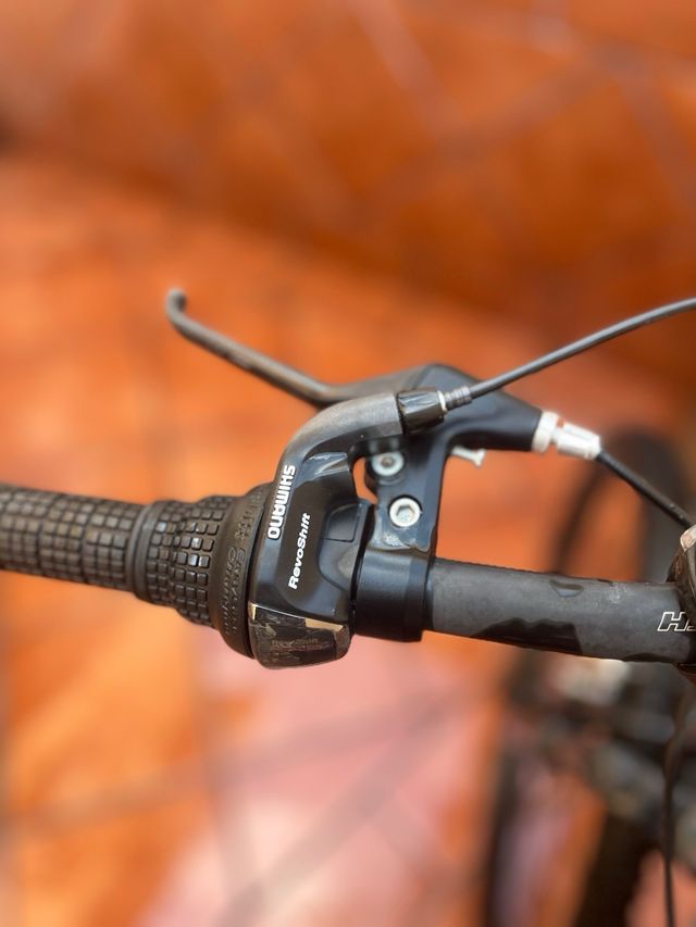 Bicicleta de montaña gris