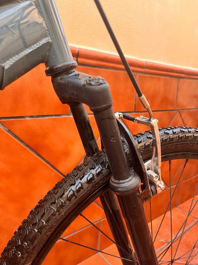 Bicicleta de montaña gris