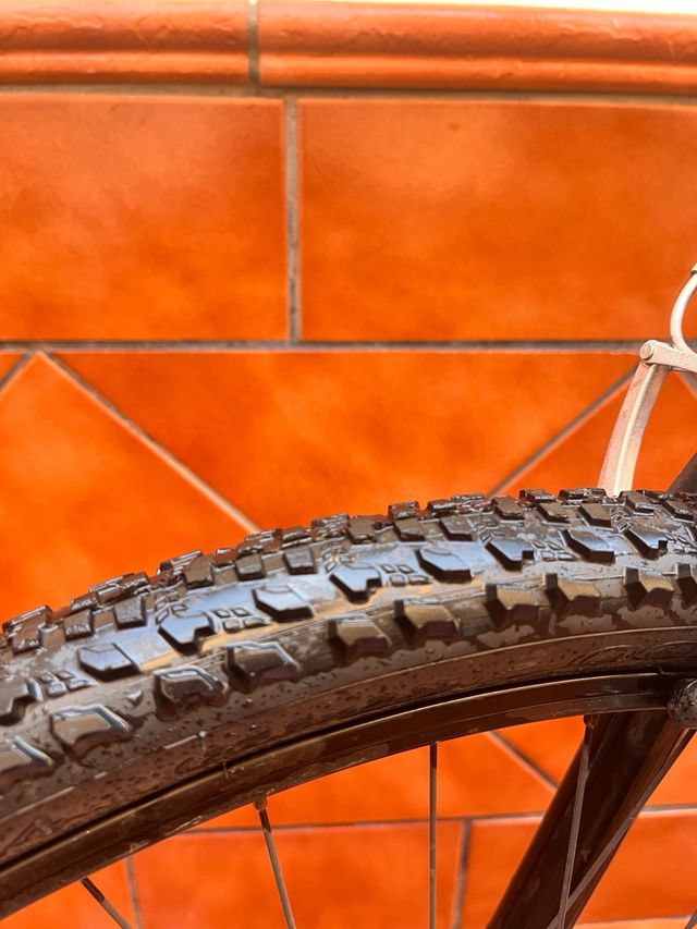 Bicicleta de montaña gris