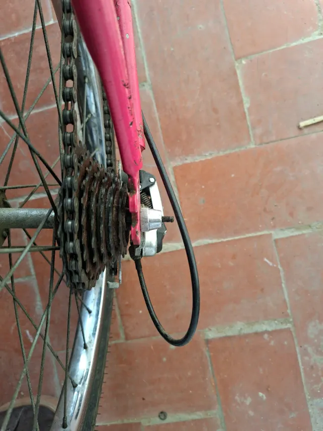 Bicicleta Legnano niño sillín Soffatti