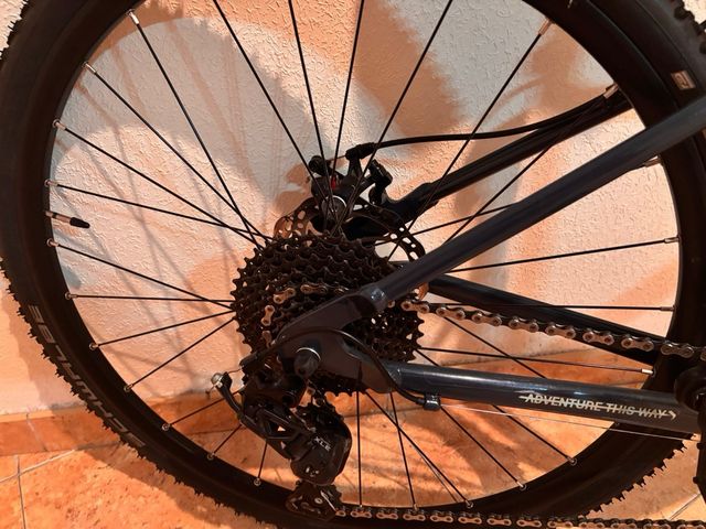 Bicicleta Gravel / Ciclocross verde oscuro