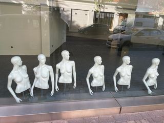 lote 50 Maniquis tienda  Gemol