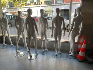 lote 50 Maniquis tienda  Gemol