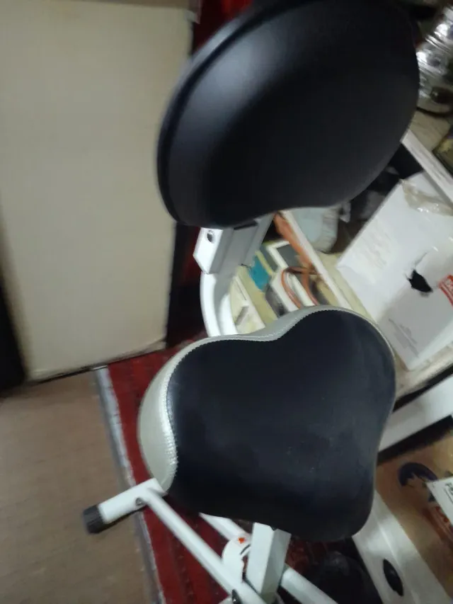 Bicicleta Estática Plegable David Douillet VX02