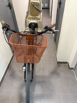 Bicicleta de Paseo con Silla Infantil y Cesta