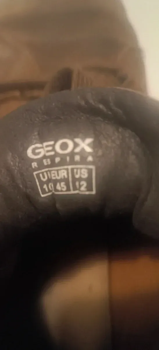 Botas Geox Hombre Marrones