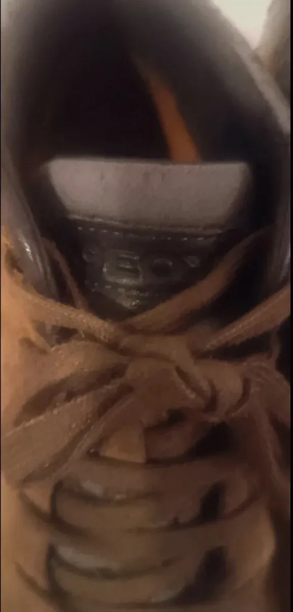 Botas Geox Hombre Marrones