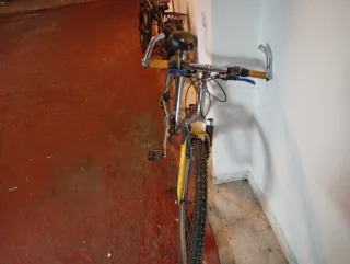 Bicicleta de montaña plateada y amarilla