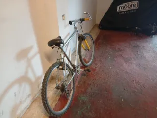 Bicicleta de montaña plateada y amarilla