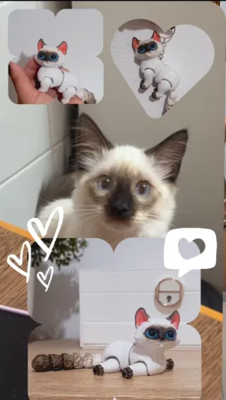 Figuras Articuladas Gato Personalizadas