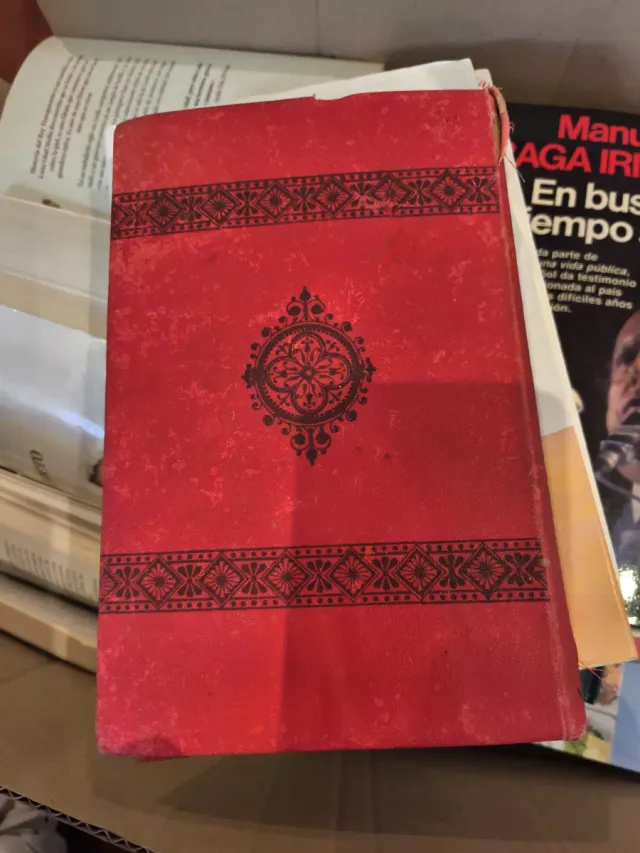 Historia de san Vicente Ferrer