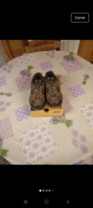 Zapatillas Salomon 39.5