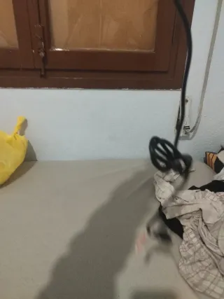 Plancha de pelo CRASTS nueva