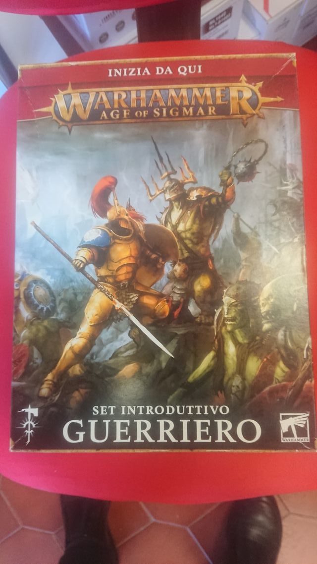 Set Introduttivo Guerriero - Age of Sigmar