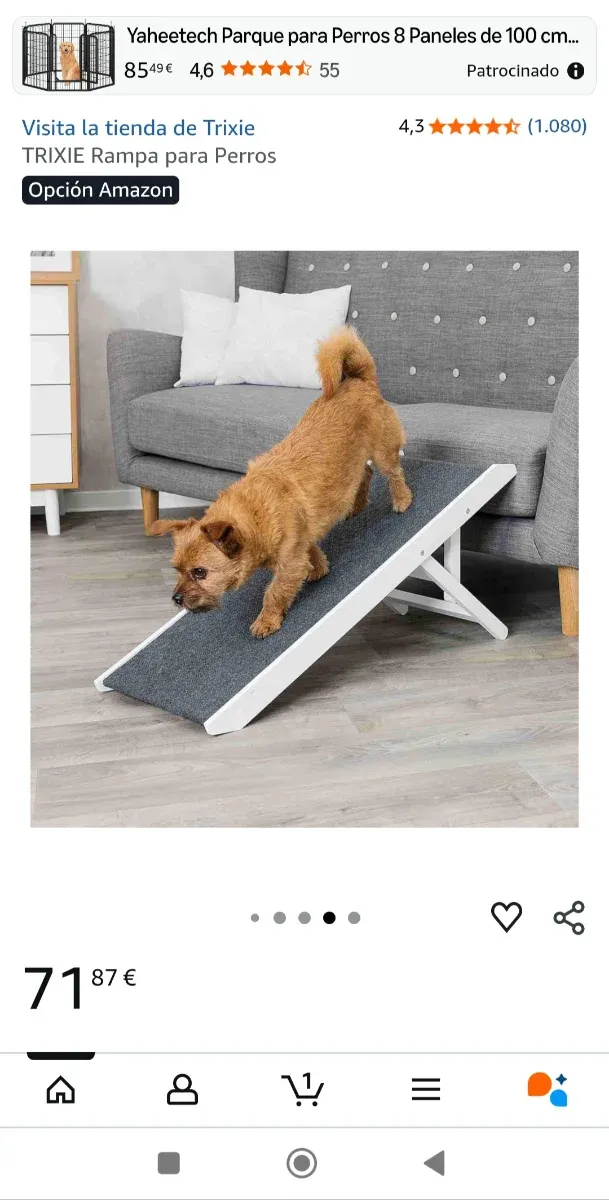 Rampa para perro/gato