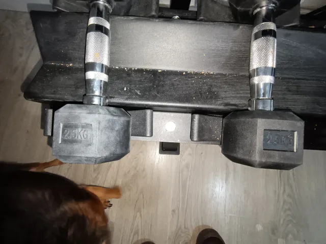 Rack Mancuernas Hexagonales y Redondas