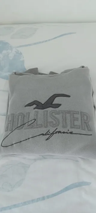 Sudadera con capucha Hollister Gris Hombre
