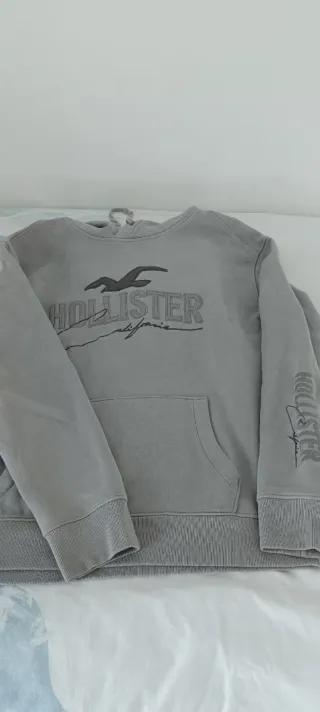 Sudadera con capucha Hollister Gris Hombre