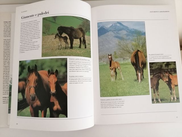 Il Libro del Cavallo - Sarah Haw